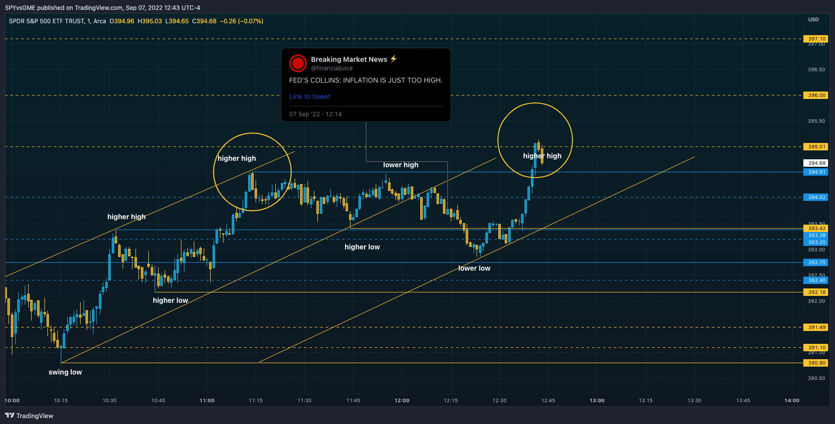 AMEX:SPY Chart Image by SPYvsGME