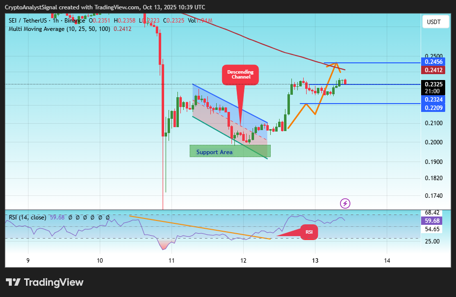 BINANCE:SEIUSDT Chartbild von CryptoAnalystSignal