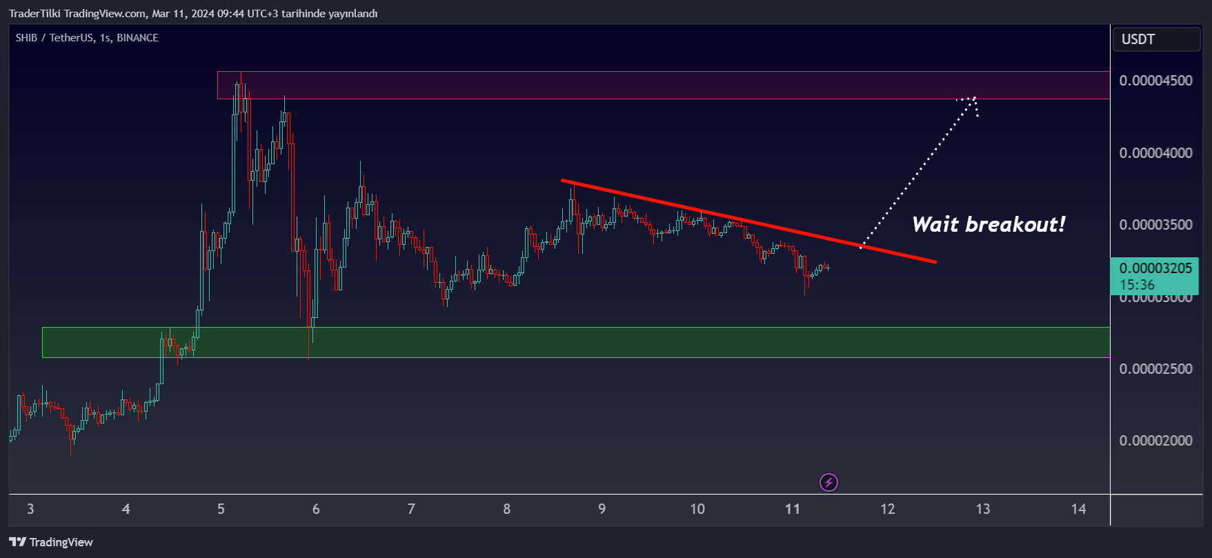 BINANCE:SHIBUSDT Chart Image by TraderTilki