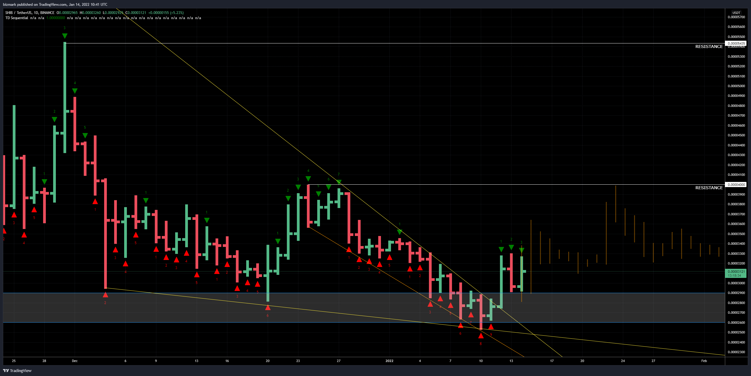 BINANCE:SHIBUSDT Chart Image by bizmark