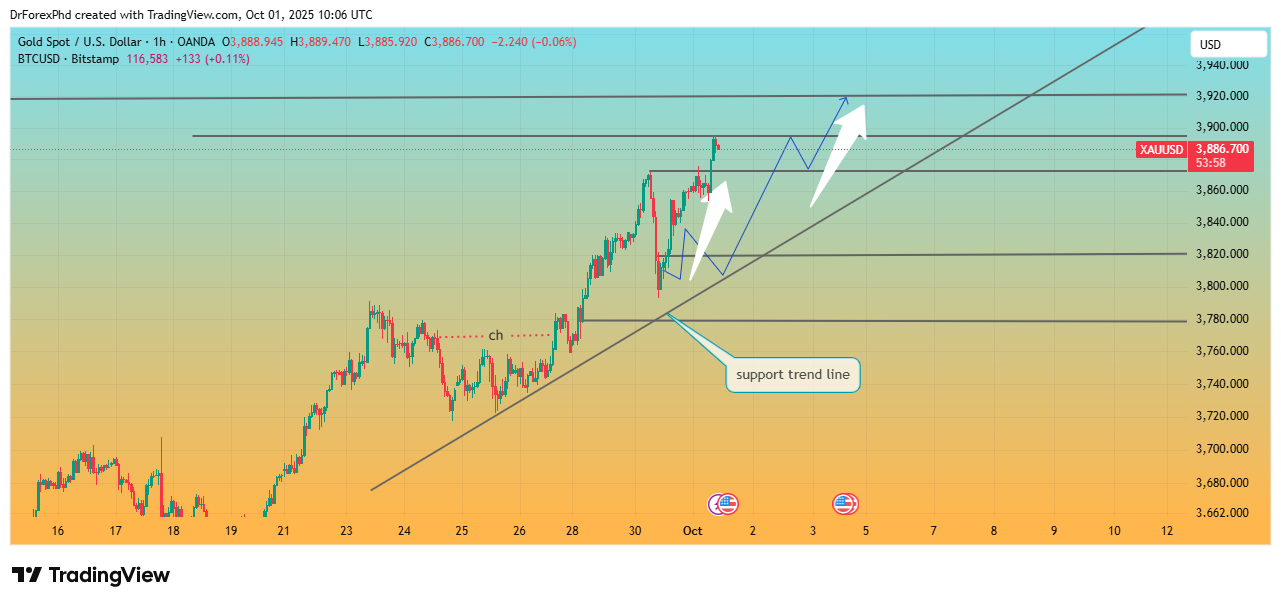 OANDA:XAUUSD Chart Image by DrForexPhd