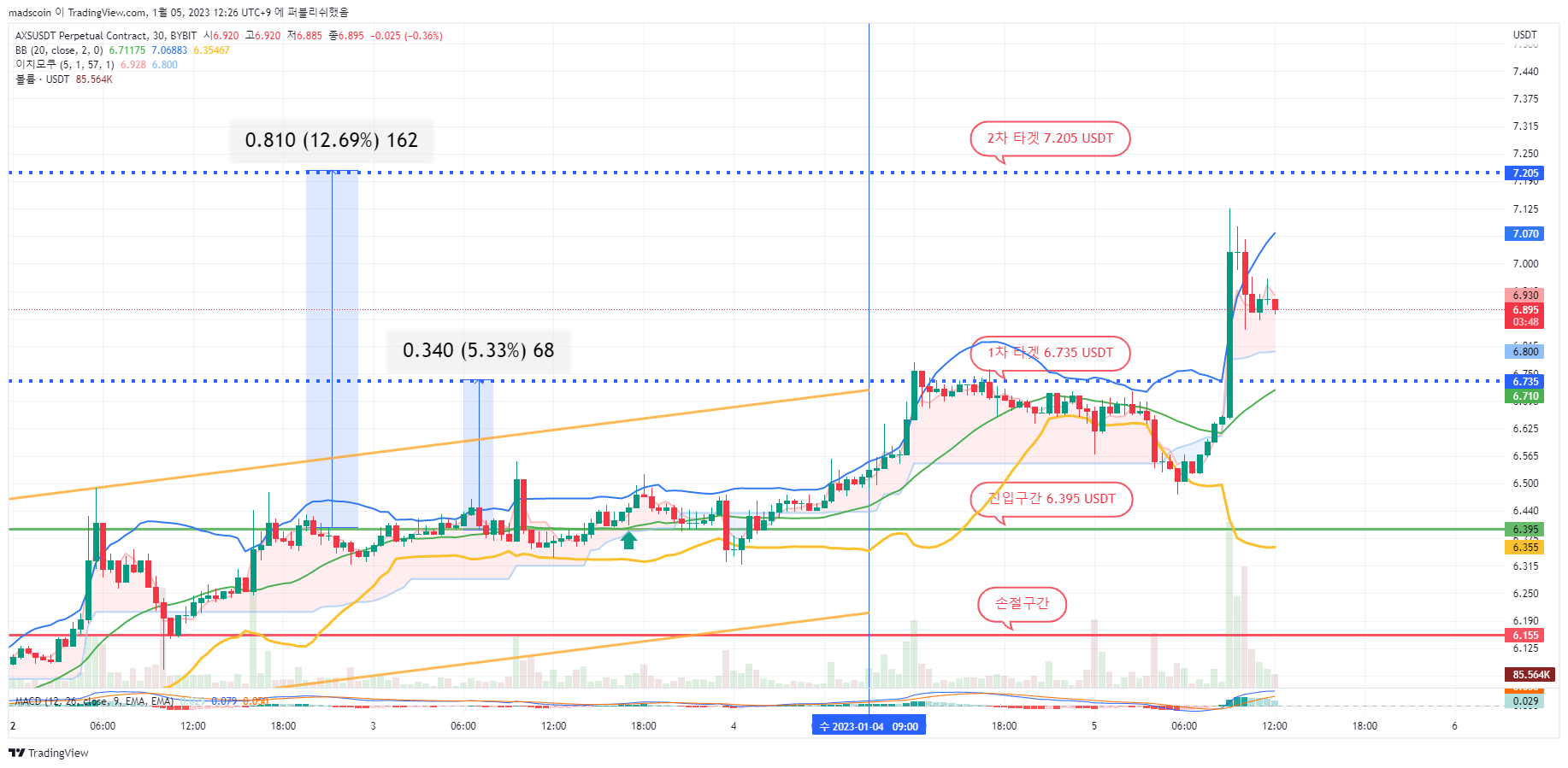 BYBIT:AXSUSDT.P Chart Image by madscoin