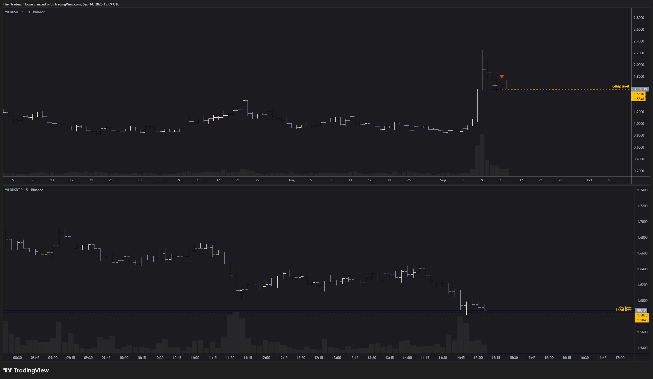 BINANCE:WLDUSDT.P Chart Image by The_Traders_House