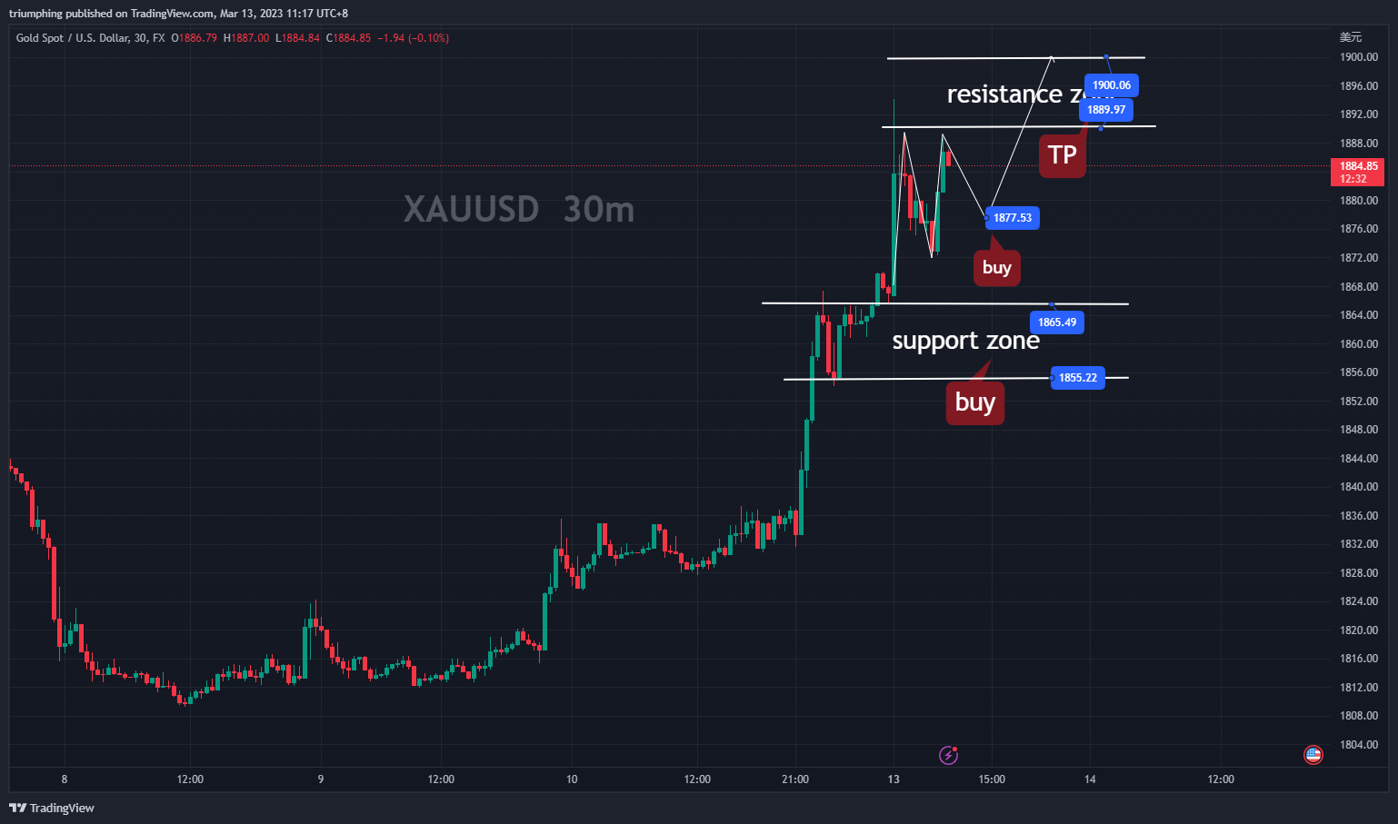 FX:XAUUSD Chart Image by triumphing