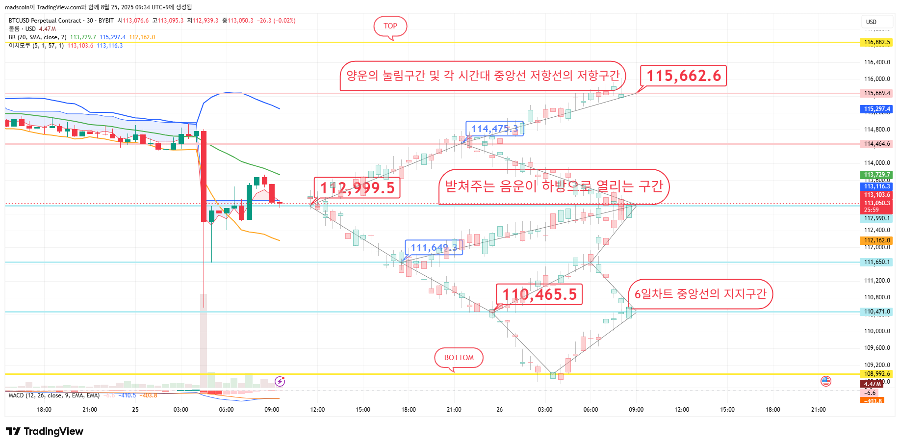 BYBIT:BTCUSD.P Chart Image by madscoin
