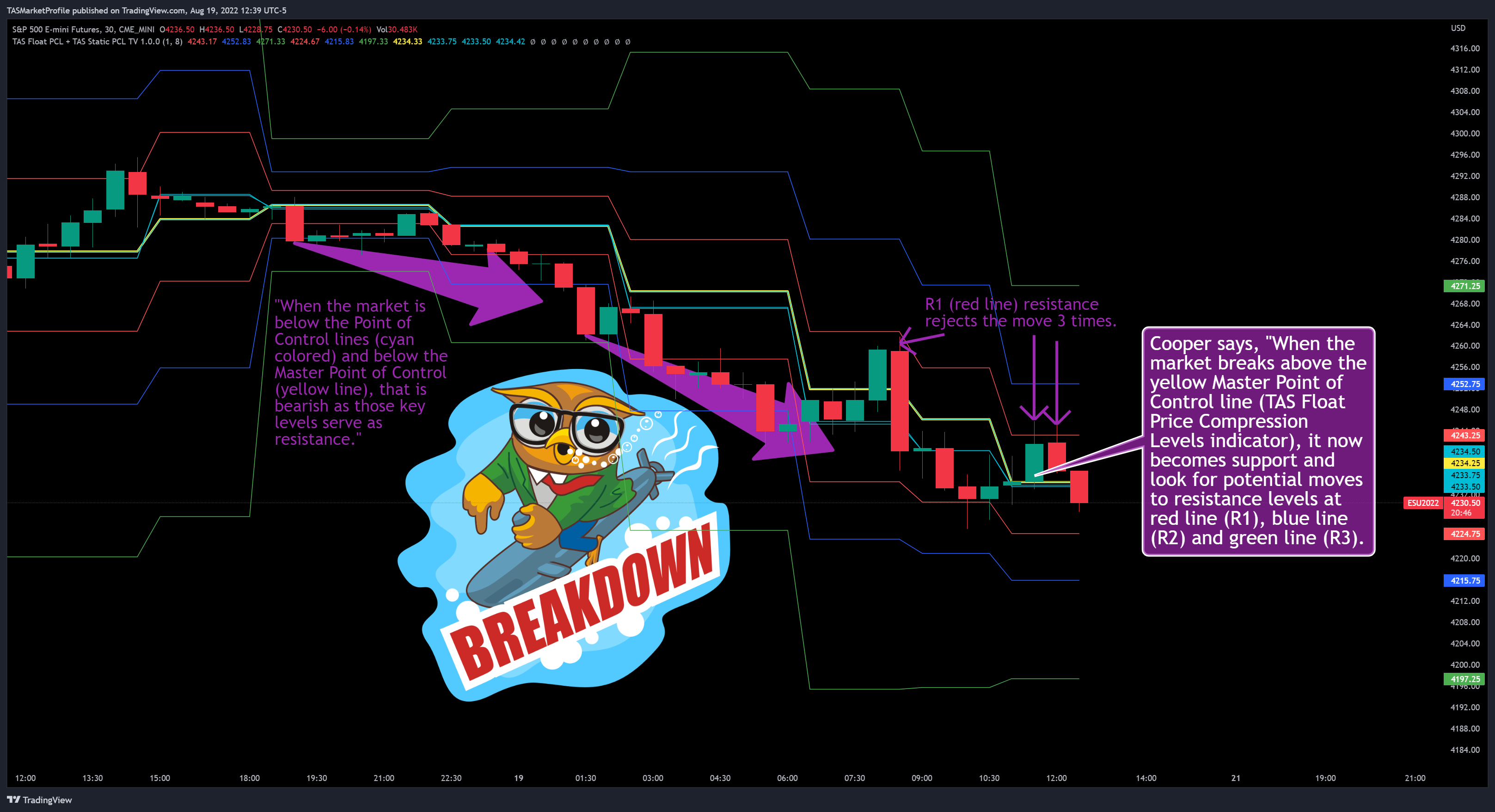 CME_MINI:ES1! Chart Image by TASMarketProfile