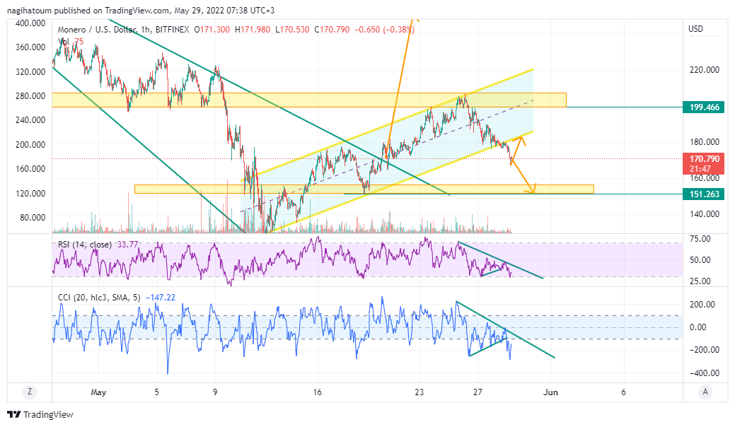 BITFINEX:XMRUSD Chart Image by nagihatoum