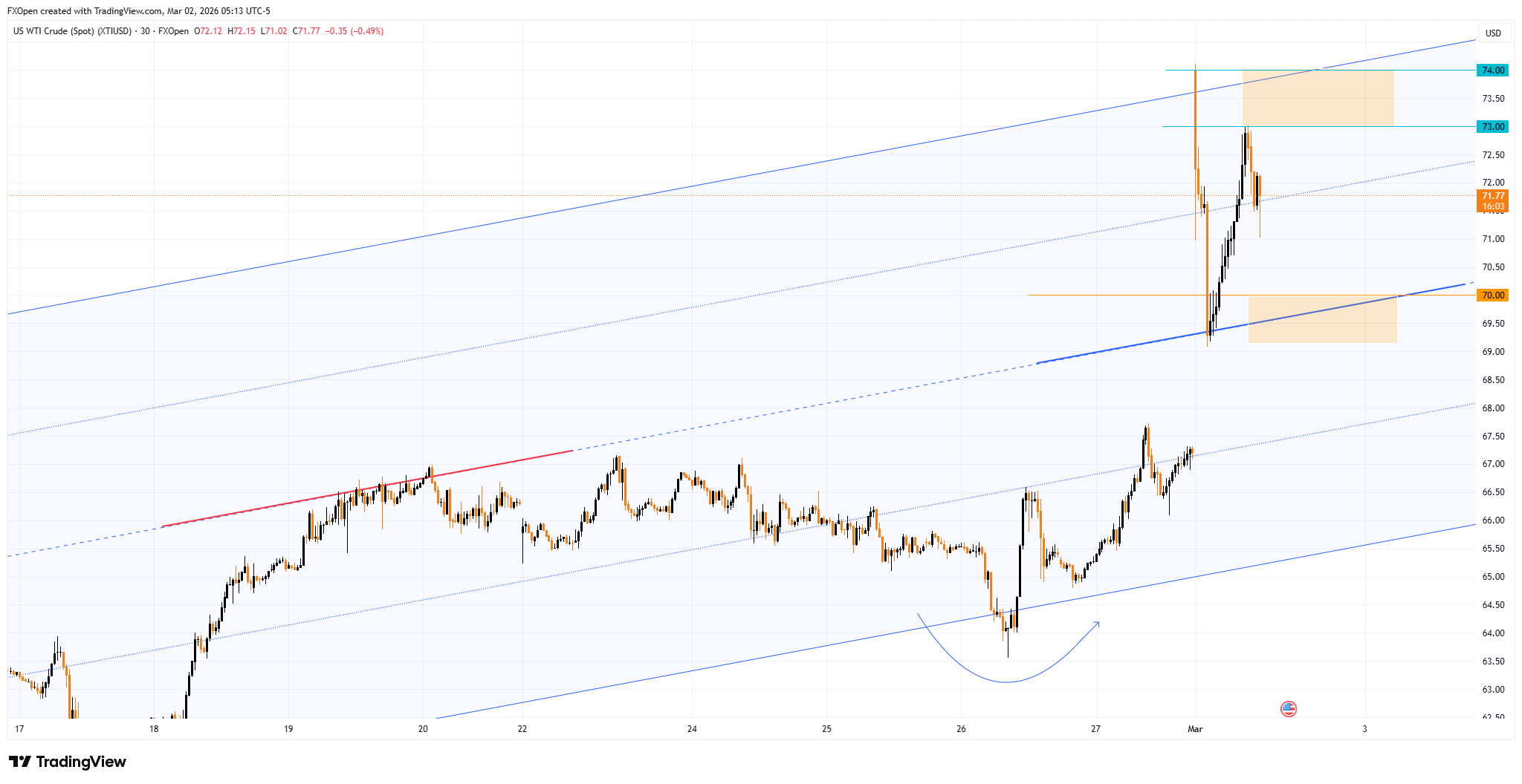 FXOPEN:XTIUSD Chart Image by FXOpen
