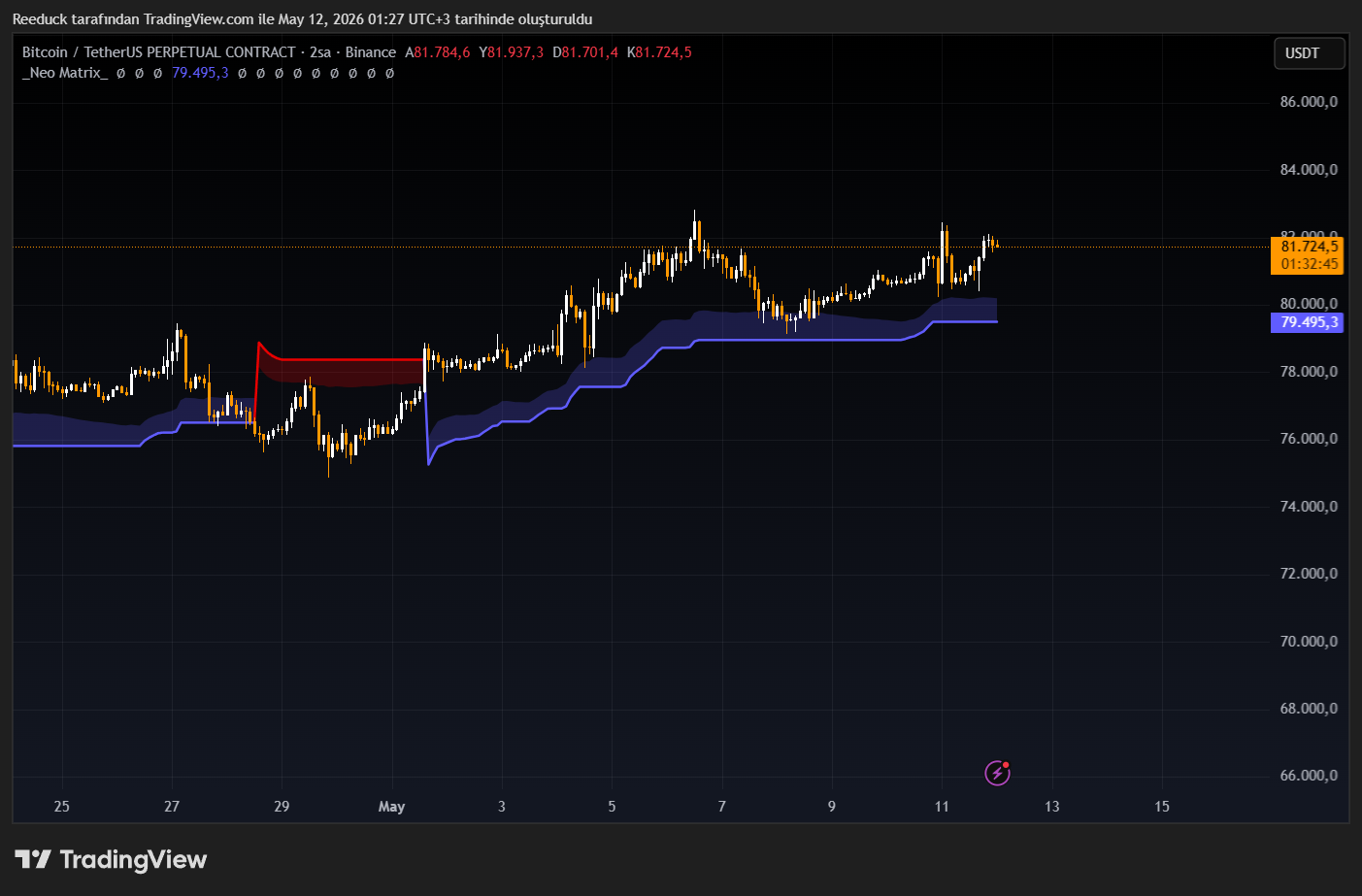 BINANCE:BTCUSDT.P Chart Image by Reeduck