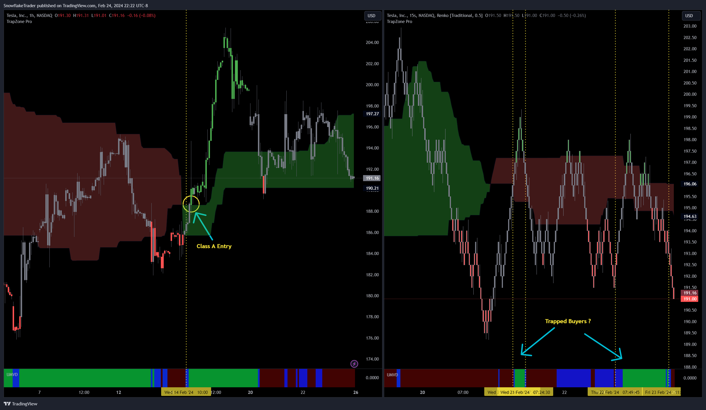 NASDAQ:TSLA Imagen del gráfico de SnowflakeTrader