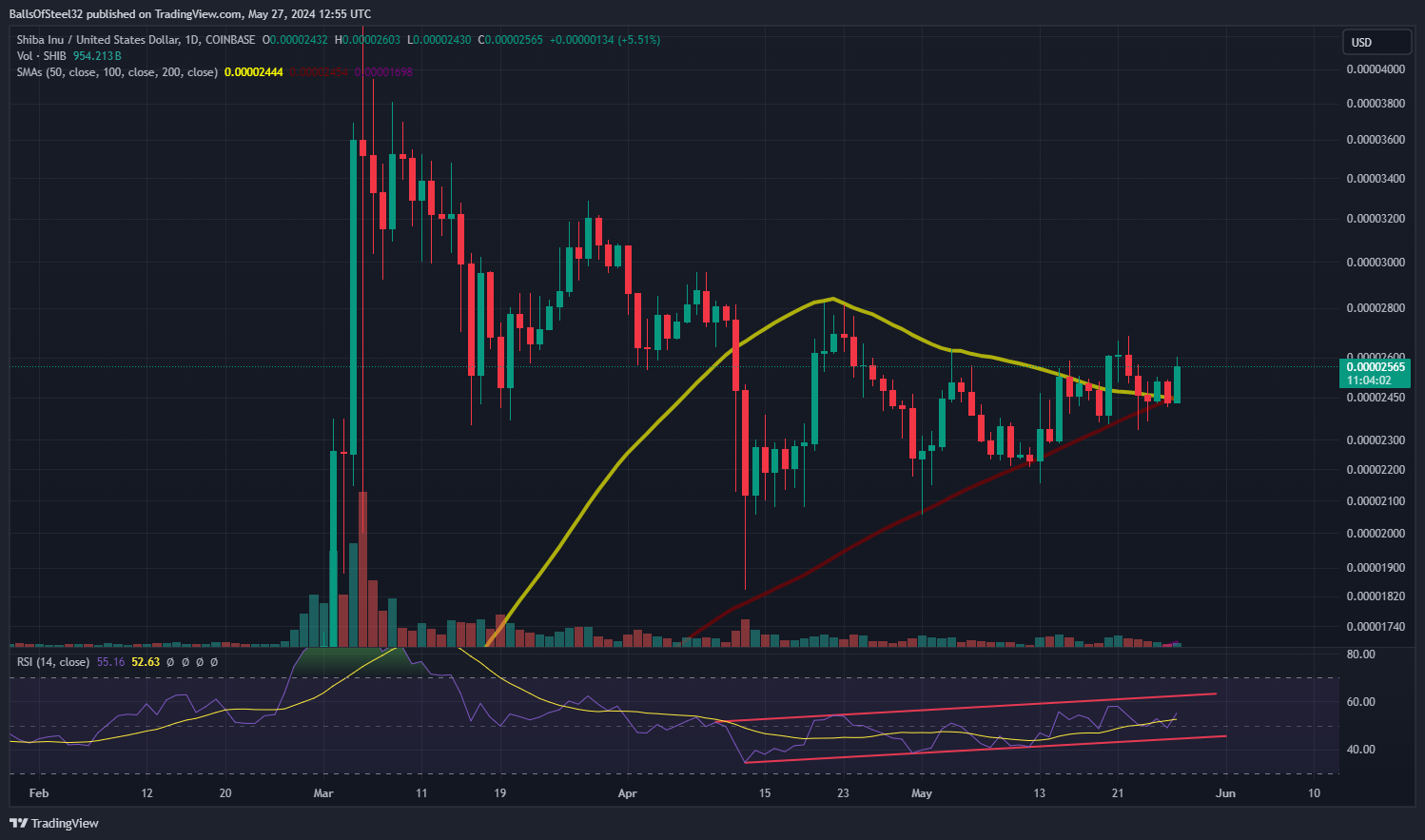 COINBASE:SHIBUSD 圖表圖片 由 Stainlessnuts69 提供