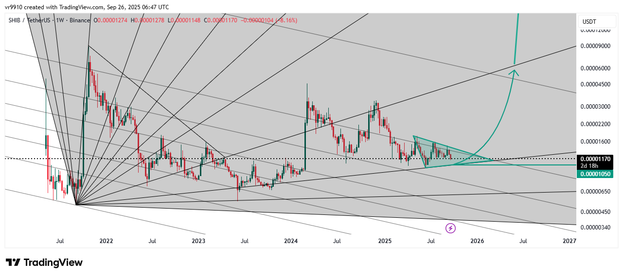 BINANCE:SHIBUSDT Chart Image by vr9910