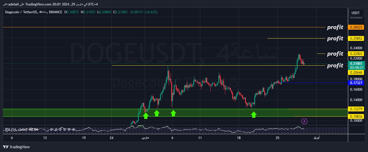 BINANCE:DOGEUSDT Chart Image by adelali