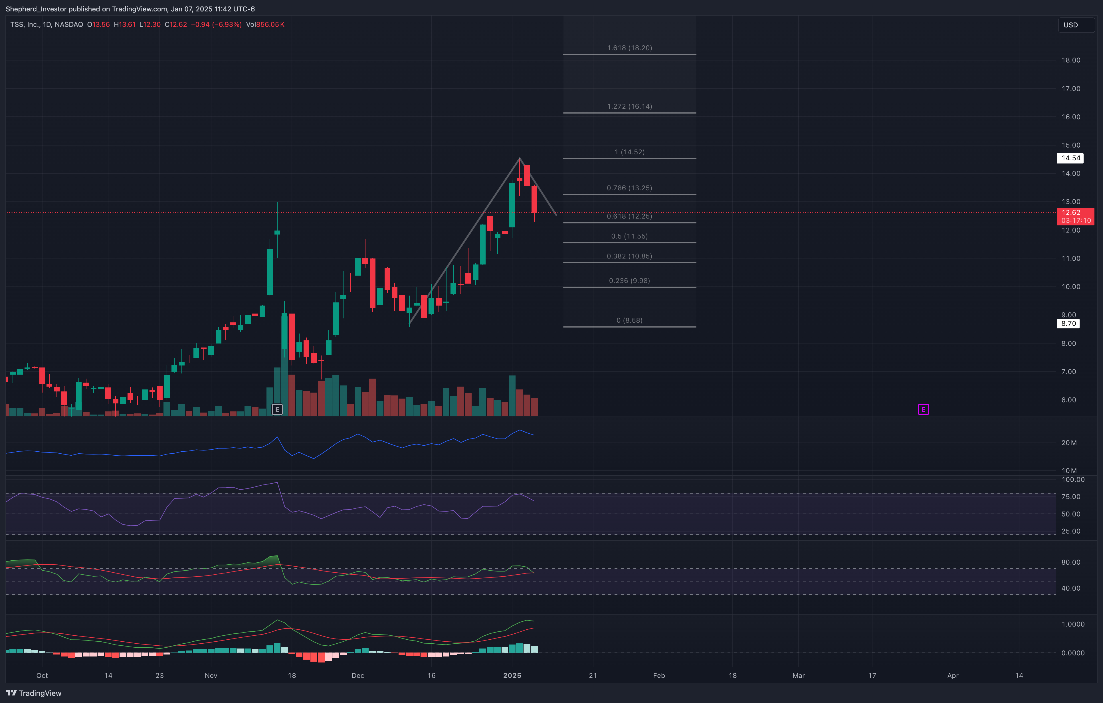 NASDAQ:TSSI 차트 이미지 - Shepherd_Investor 제공