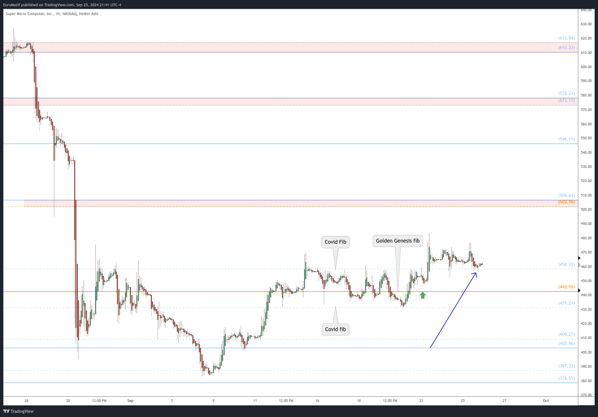 BATS:SMCI Chart Image by EuroMotif