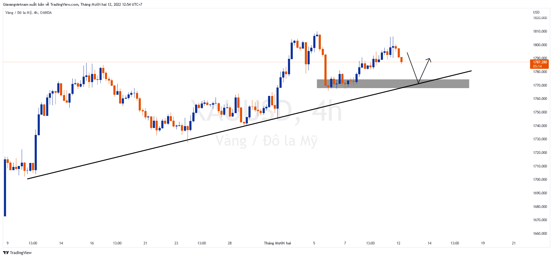 OANDA:XAUUSD Chart Image by Giavangvietnam