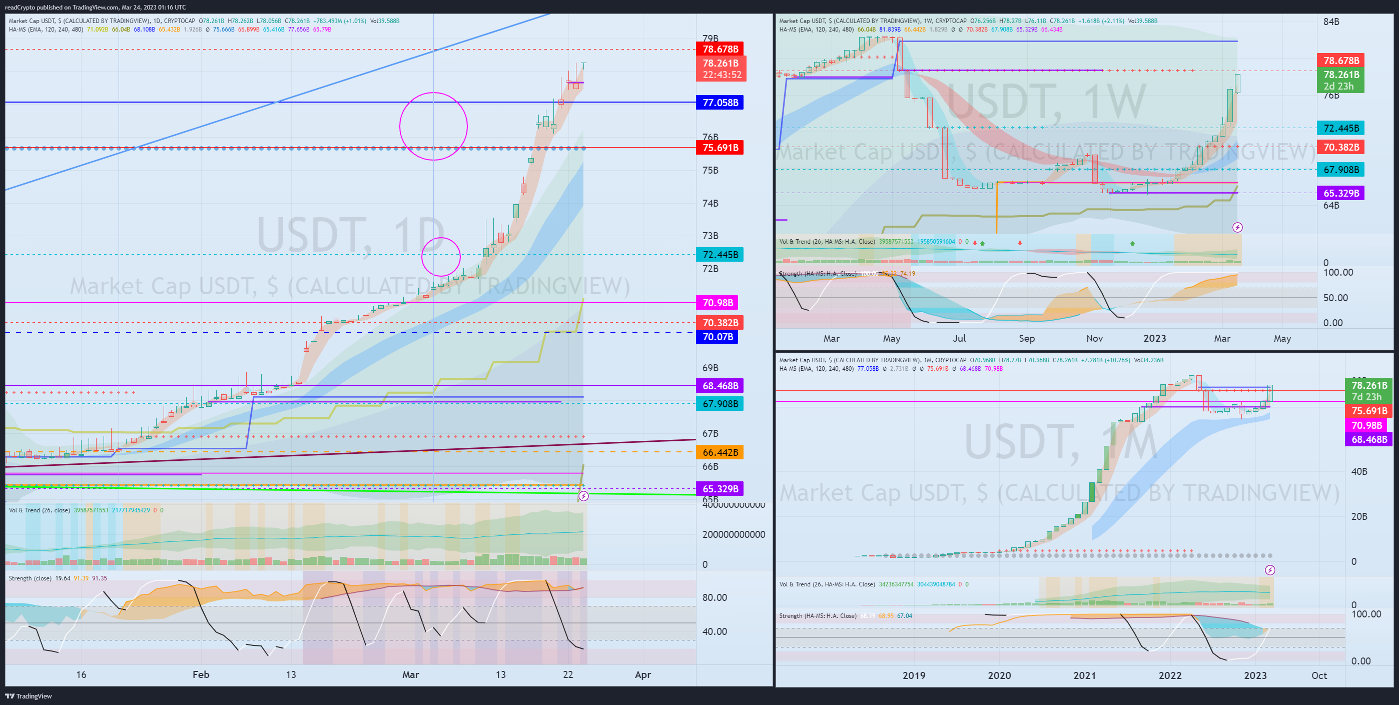 CRYPTOCAP:USDT Chart Image by readCrypto