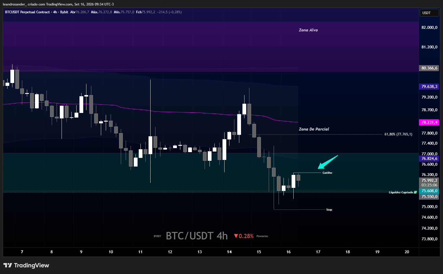 BYBIT:BTCUSDT.P Chart Image by leandrosander_