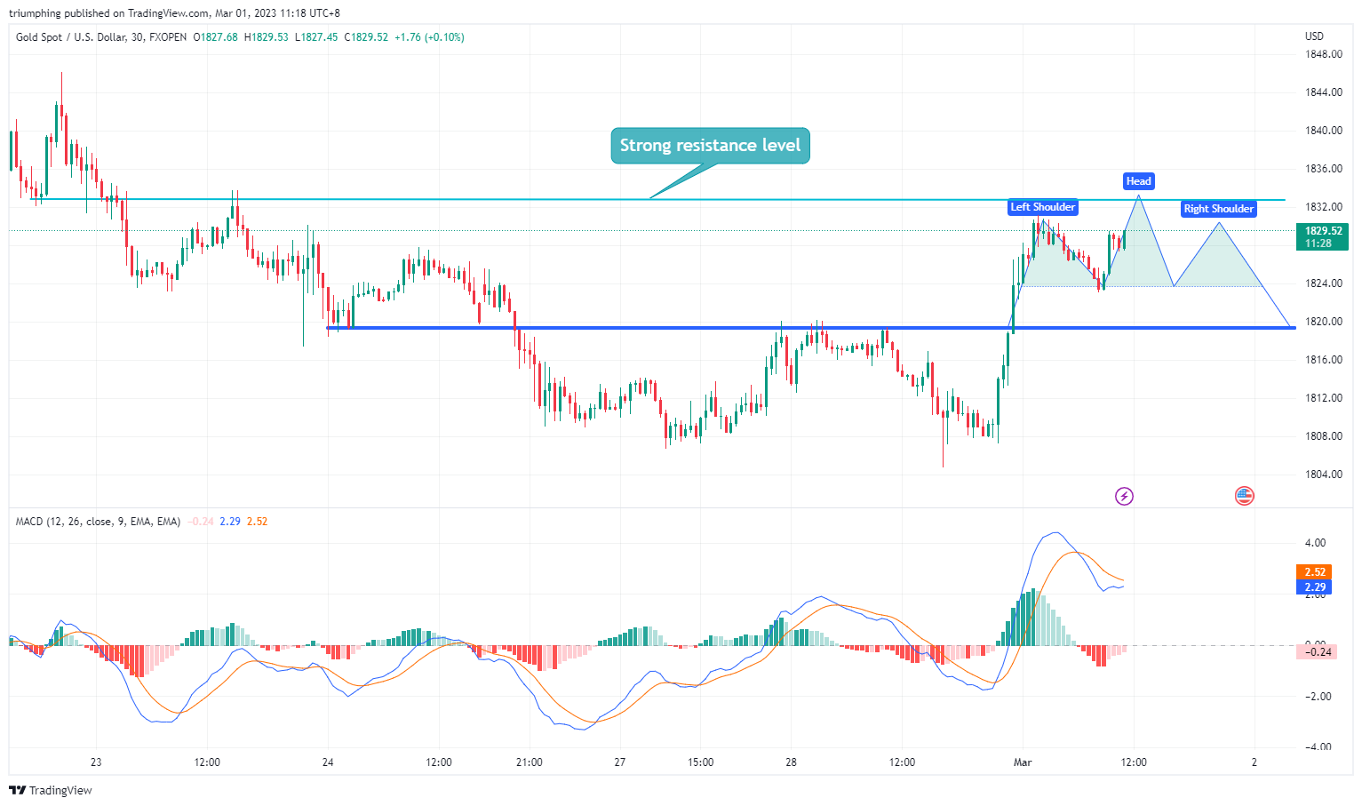 FXOPEN:XAUUSD Chart Image by triumphing