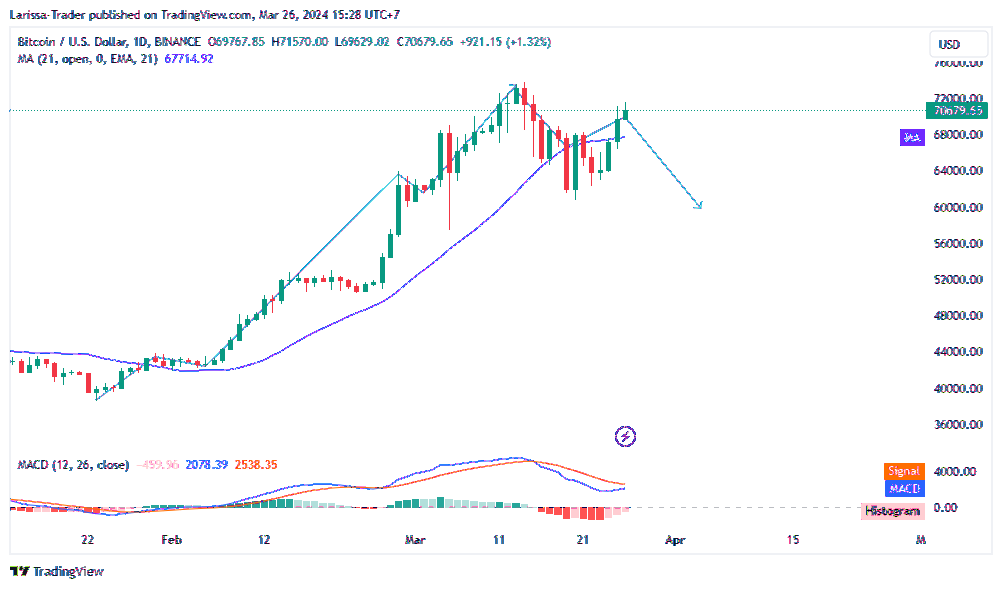 BINANCE:BTCUSD Chart Image by Larissa-Trader