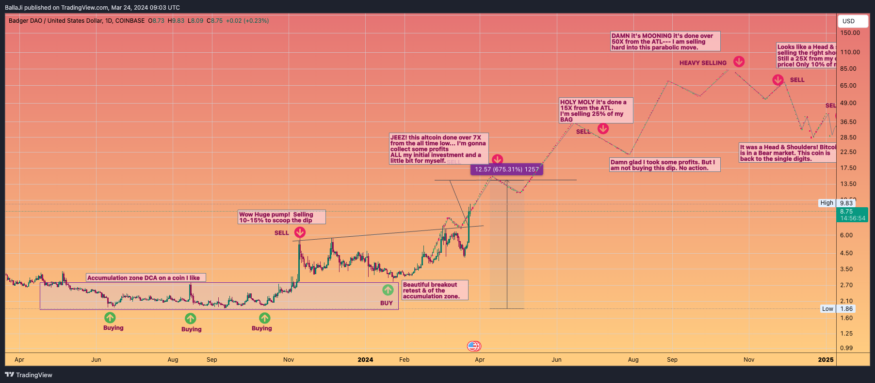 BallaJi tarafından COINBASE:BADGERUSD Grafik Görseli