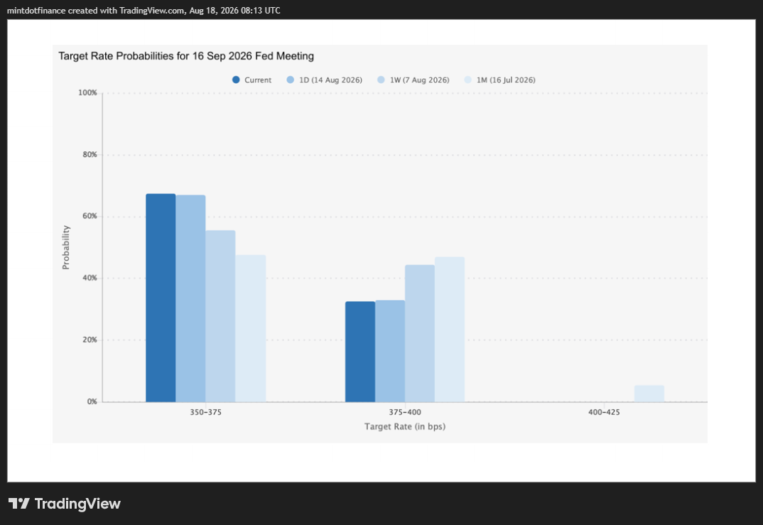CME_MINI_DL:MES1! Chart Image by mintdotfinance