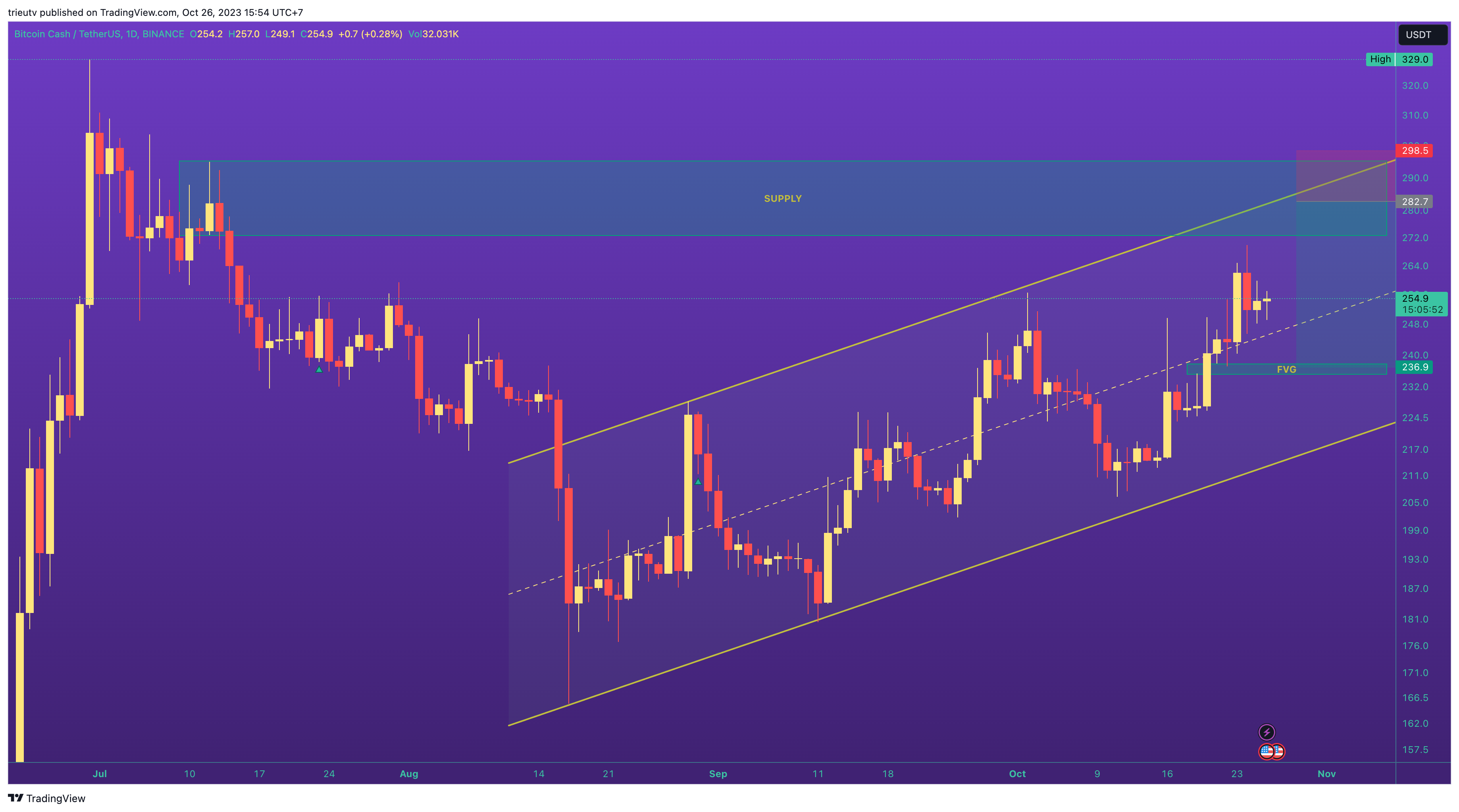 BINANCE:BCHUSDT Chart Image by mileinvest