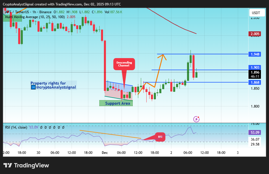 BINANCE:APTUSDT Chart Image by CryptoAnalystSignal