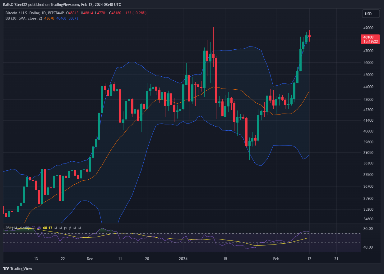 BITSTAMP:BTCUSD Chart Image by Stainlessnuts69