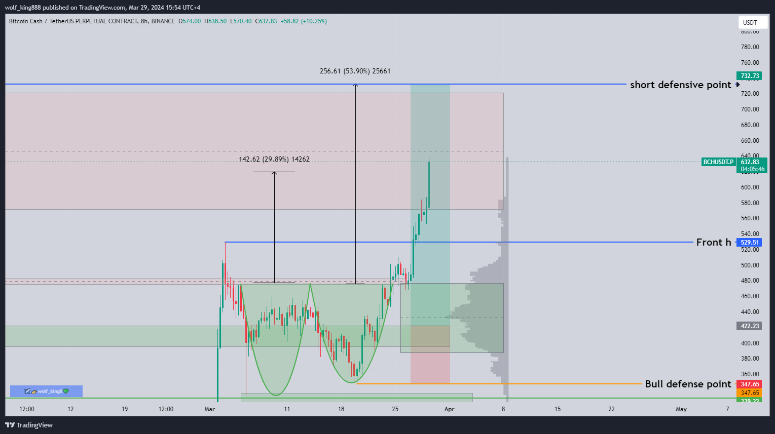 BINANCE:BCHUSDT.P Chartbild von wolf_king888