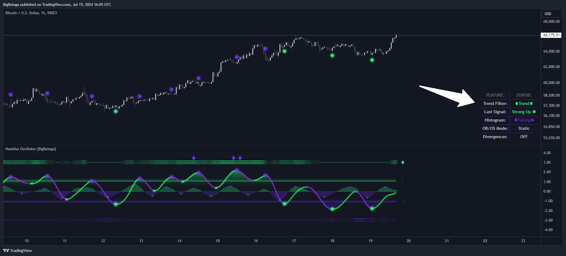 INDEX:BTCUSD Chart Image by BigBeluga