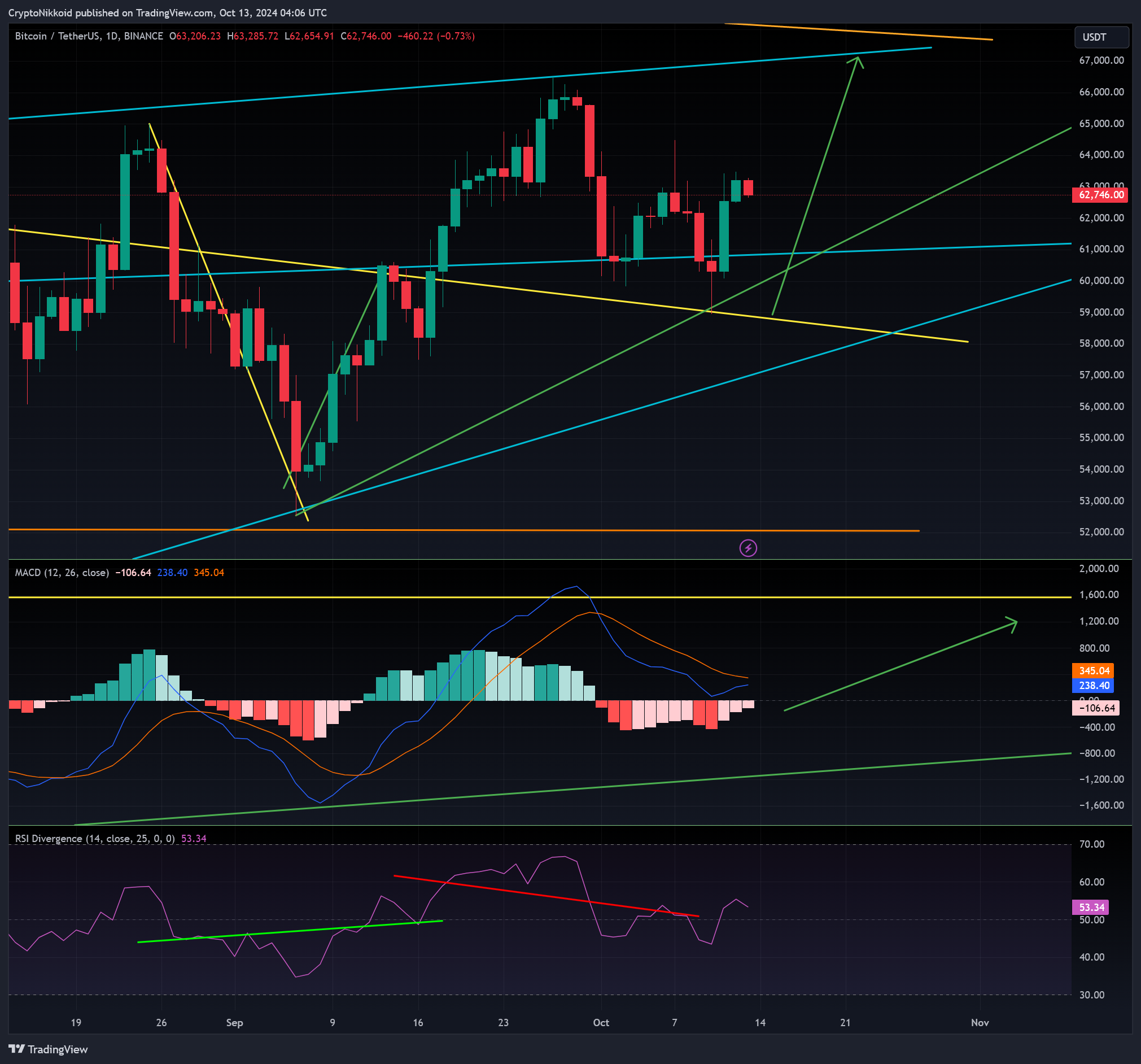BINANCE:BTCUSDT Chartbild von CryptoNikkoid