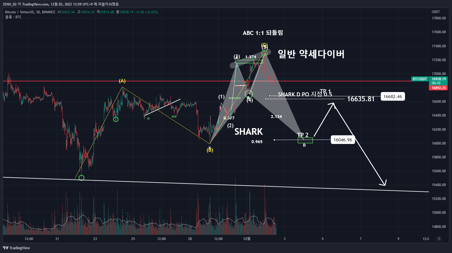 BINANCE:BTCUSDT Immagine del grafico by ZENO_1029