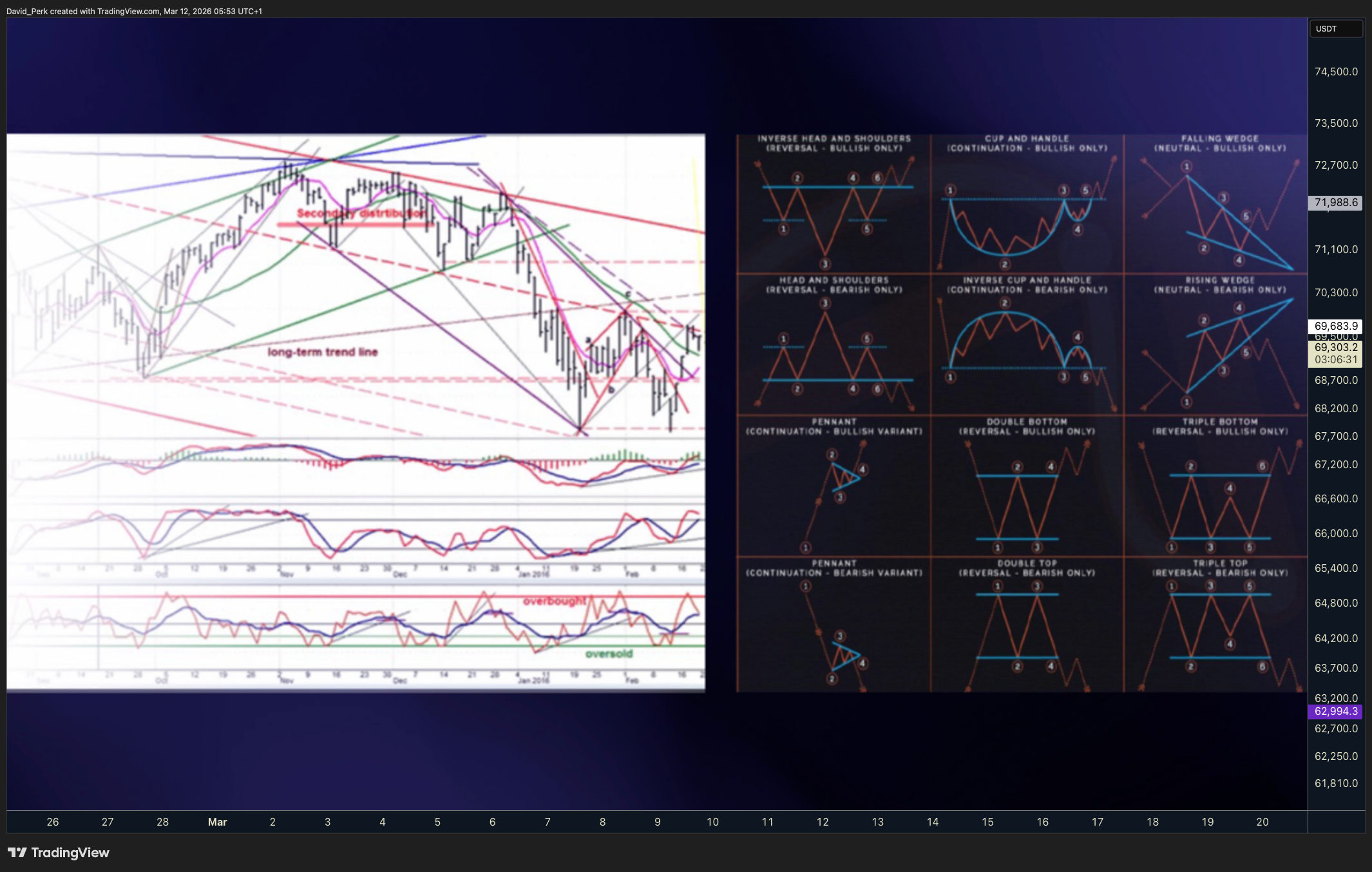 BYBIT:BTCUSDT.P Chart Image by David_Perk