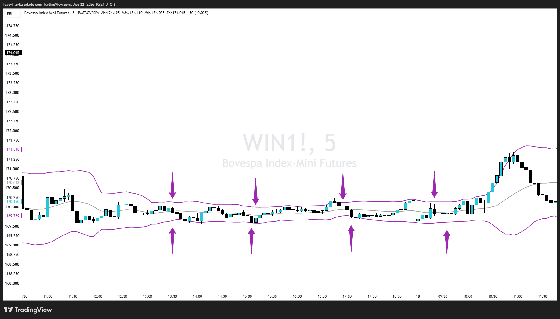 BMFBOVESPA_DLY:WIN1! Chart Image by joaovi_avila