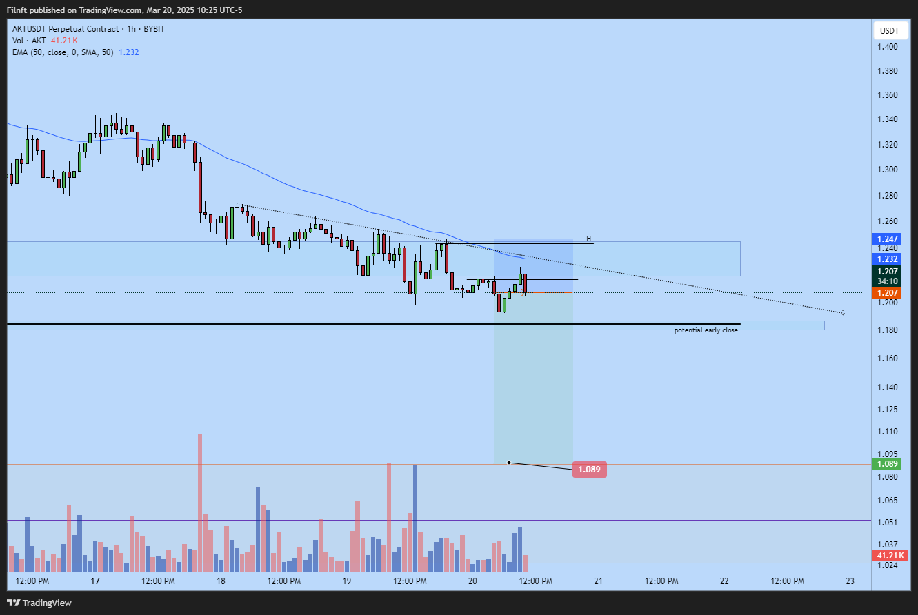 BYBIT:AKTUSDT.P Chart Image by Filgreat