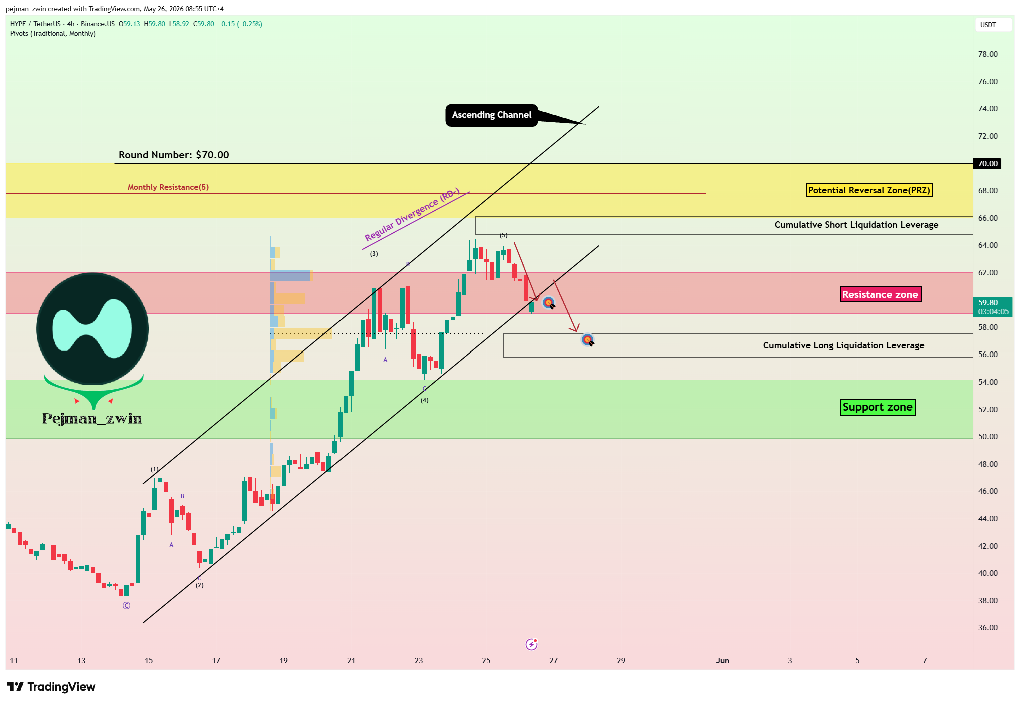 BINANCEUS:HYPEUSDT Chart Image by pejman_zwin
