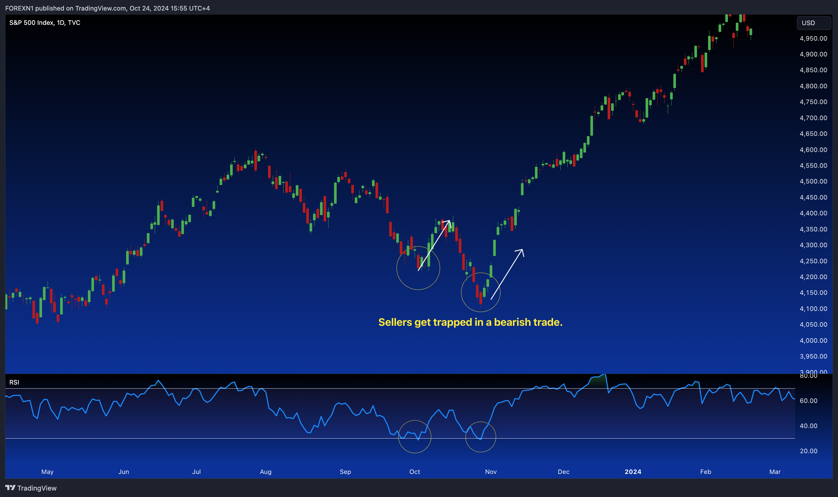 TVC:SPX Chart Image by FOREXN1
