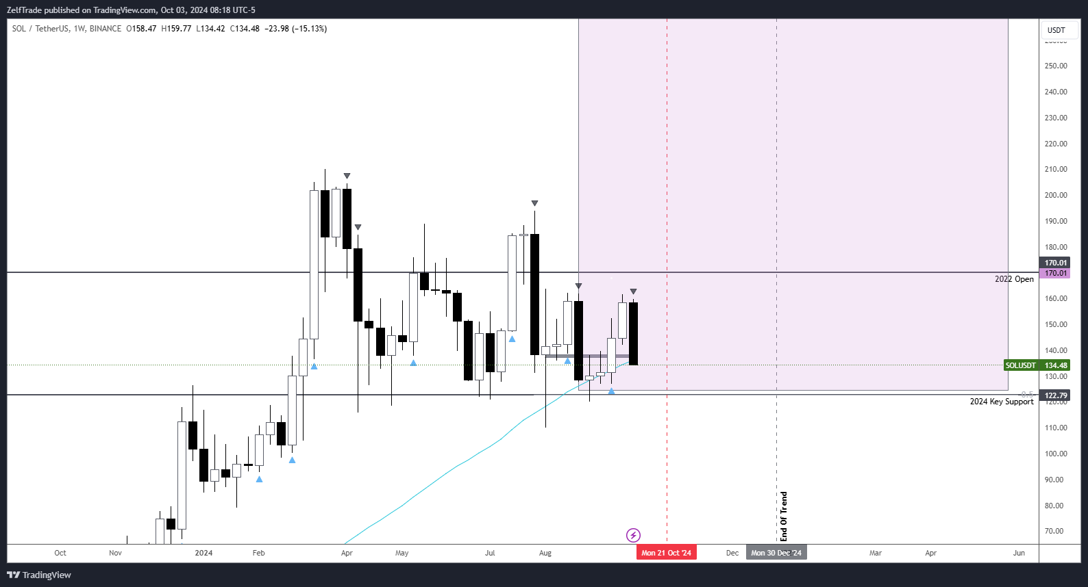 BINANCE:SOLUSDT Chart Image by ZelfTrade