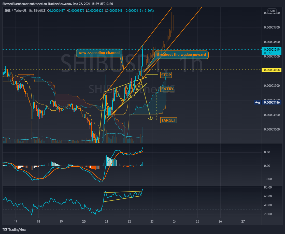 BINANCE:SHIBUSDT Chart Image by BlessedBlasphemer