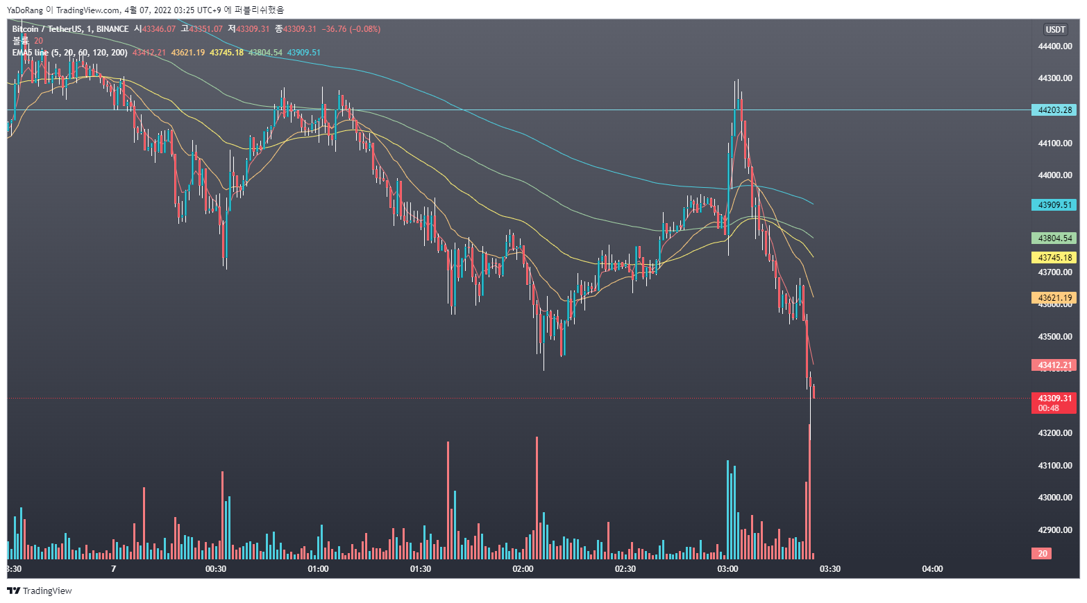 BINANCE:BTCUSDT Chart Image by YaDoRang