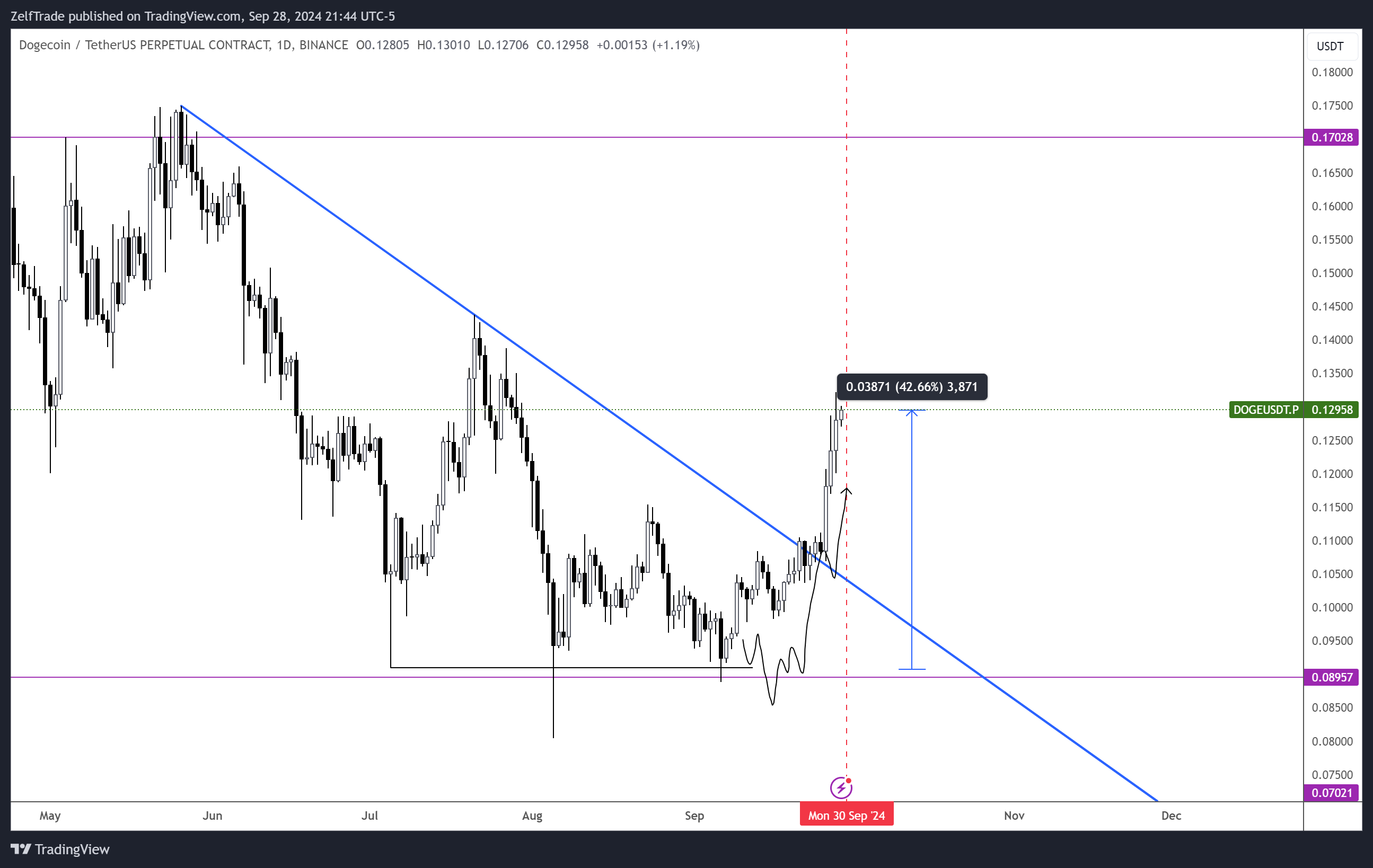 BINANCE:DOGEUSDT.P 차트 이미지 - ZelfTrade 제공