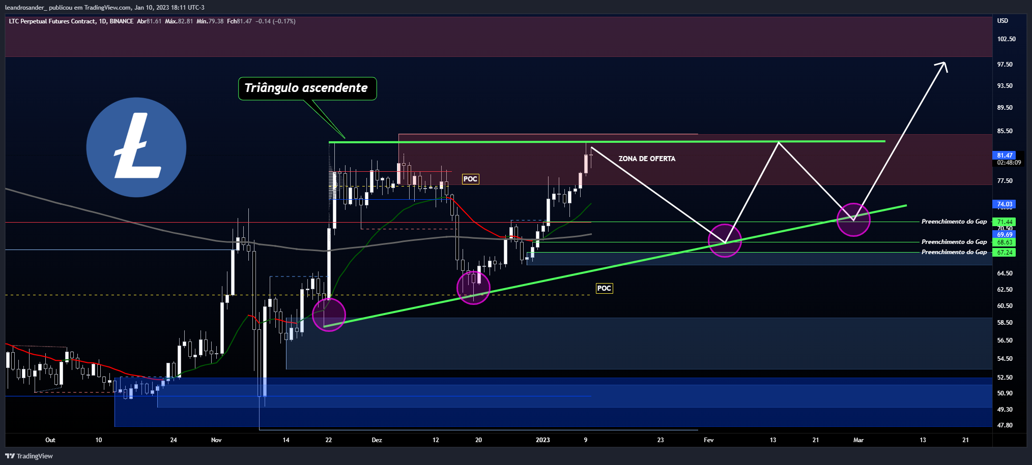 BINANCE:LTCPERP Chart Image by leandrosander_
