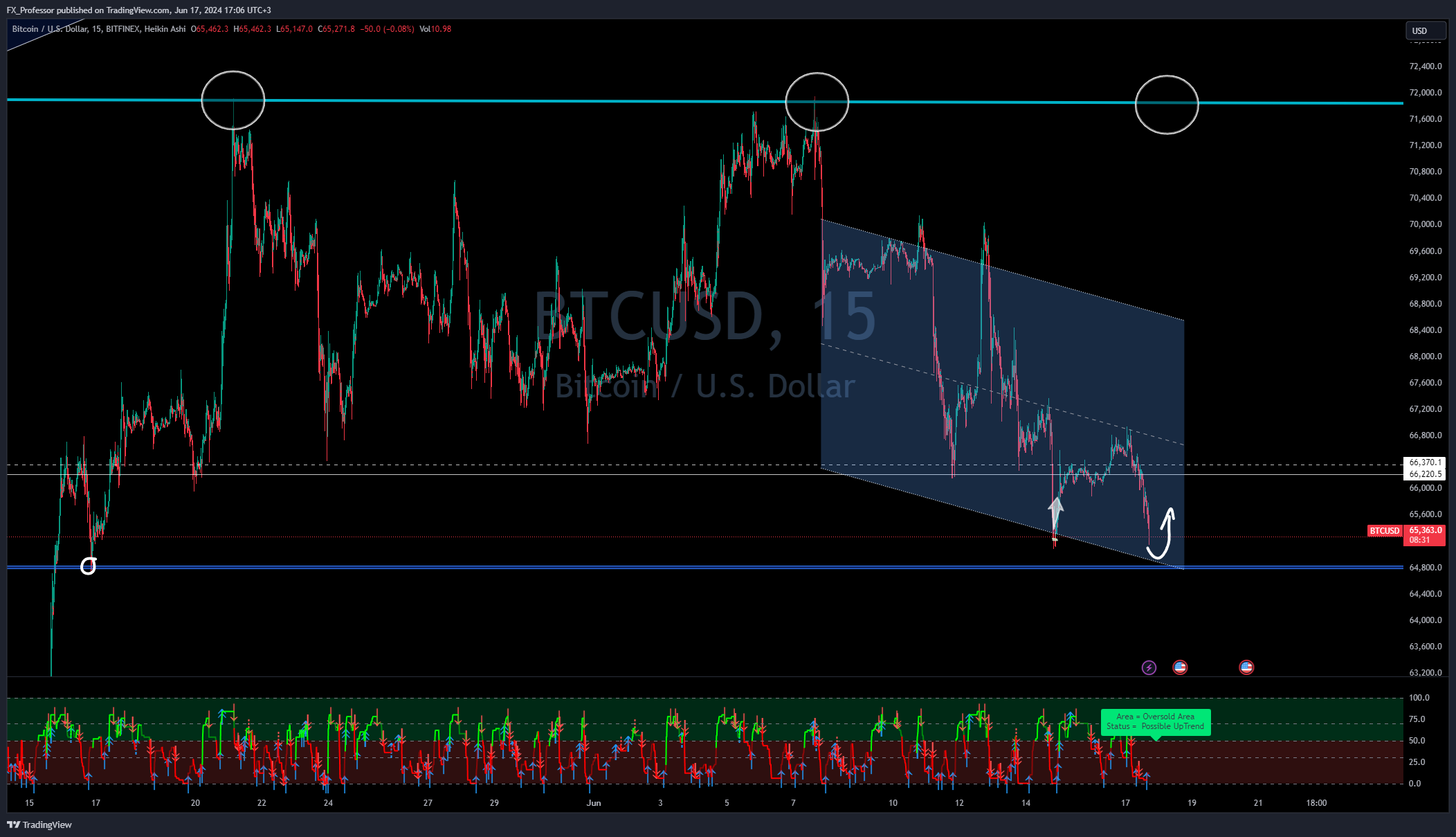 BITFINEX:BTCUSD Chartbild von FX_Professor
