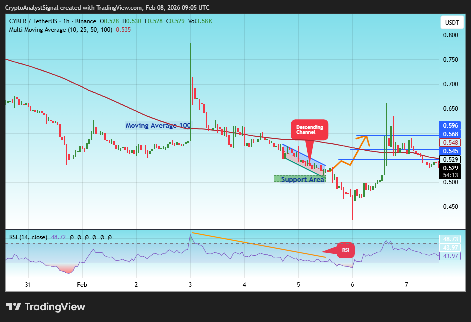 BINANCE:CYBERUSDT Chart Image by CryptoAnalystSignal
