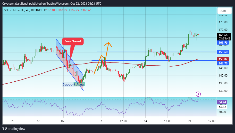 CryptoAnalystSignal tarafından BINANCE:SOLUSDT Grafik Görseli