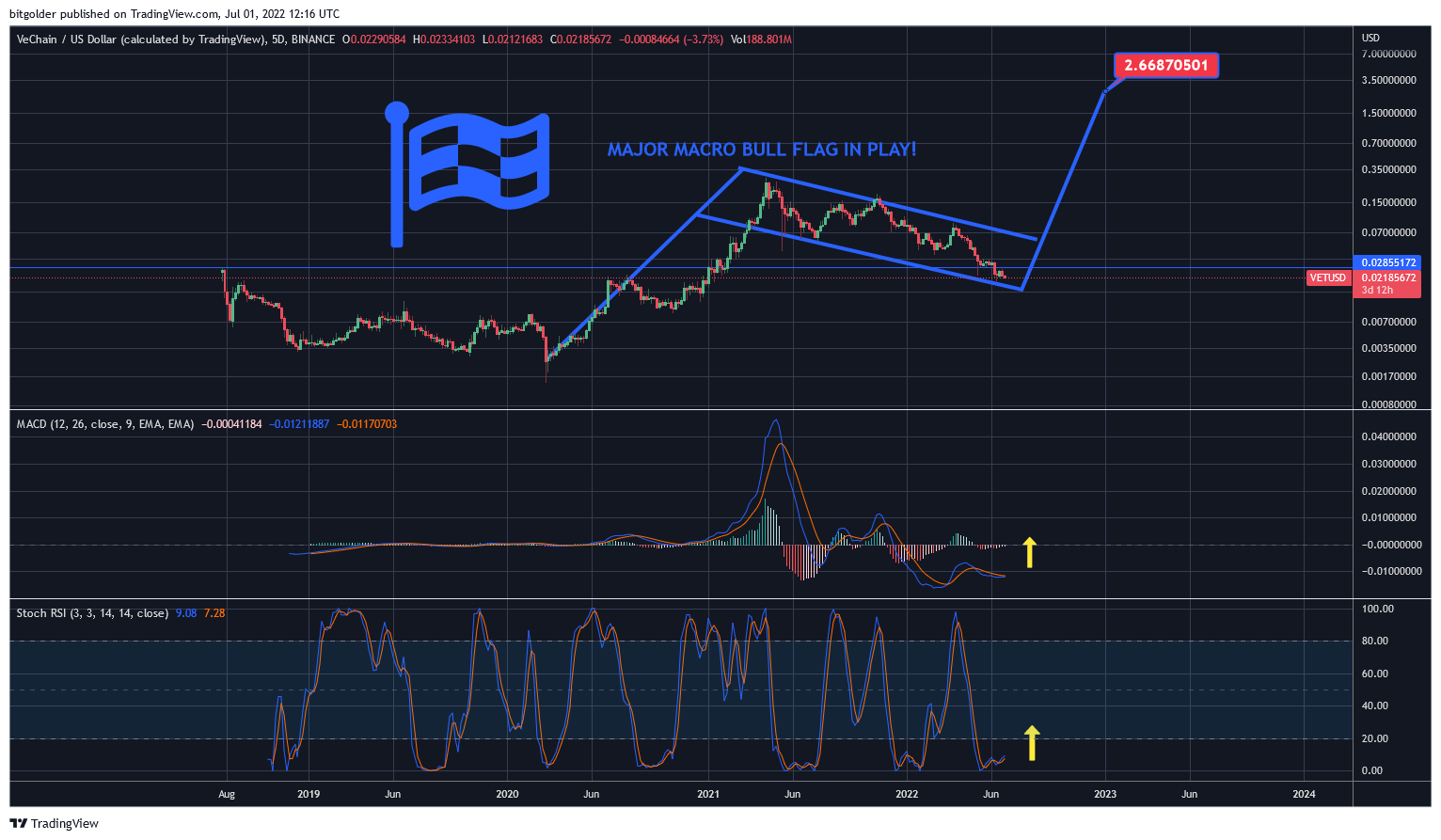 BINANCE:VETUSD Chart Image by Bitgolder
