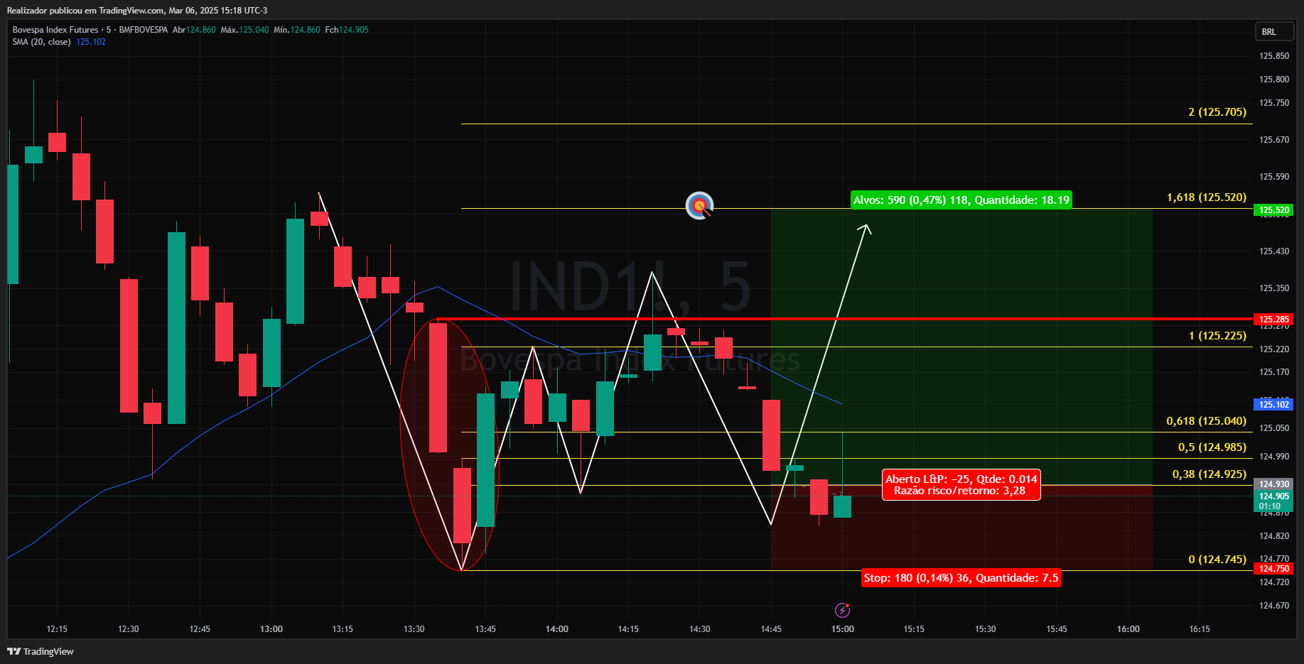 BMFBOVESPA_DLY:IND1! Chart Image by Realizador
