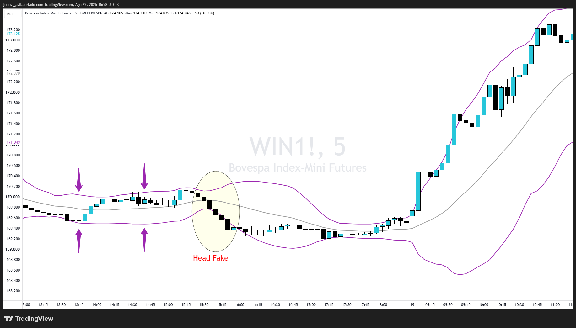 BMFBOVESPA_DLY:WIN1! Chart Image by joaovi_avila