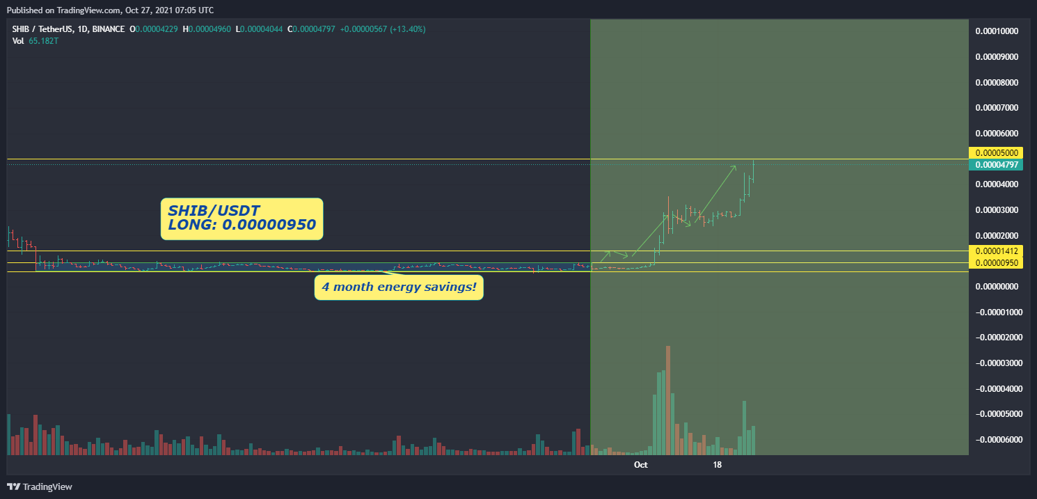 BINANCE:SHIBUSDT Chart Image by VS_trading